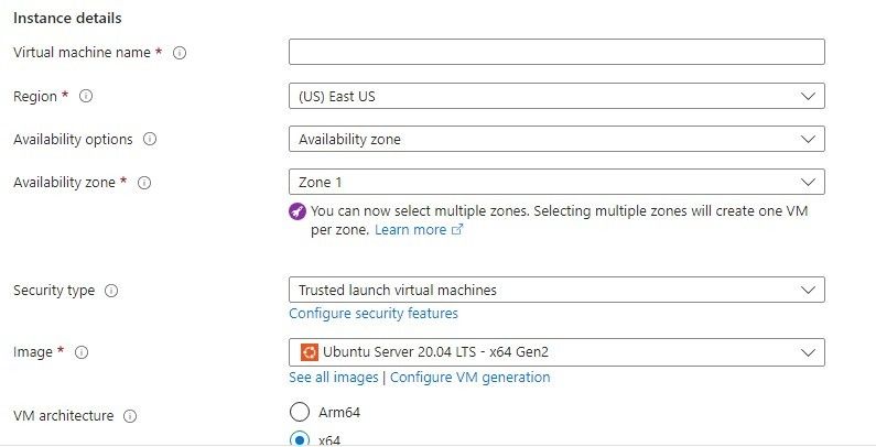 Instance details